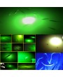 12V Underwater White LED Lamp Night Attracts Fishes Snook Light Dock Decorative Light Fishing Bait Light