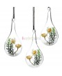 Clear Hanging Glass Flower Plant Vase Hydroponic Container Pot Home Decor