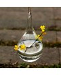 Clear Hanging Glass Flower Plant Vase Hydroponic Container Pot Home Decor