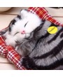 Simulation Animal Doll Plush Sleeping Cats Toy with Sound Kids Gift Stuffed