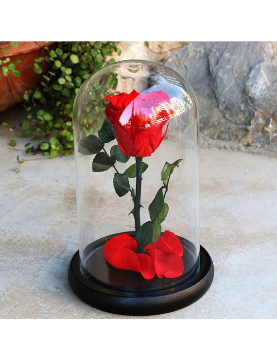 Rose Flower Festive Preserved Forever Rose Immortal Fresh Rose Glass Cover Unique Gifts