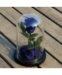 Rose Flower Festive Preserved Forever Rose Immortal Fresh Rose Glass Cover Unique Gifts